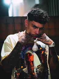 Image result for seotonie