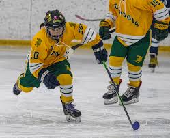 Image result for Hampstead Heath Hockey