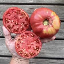 Afbeeldingsresultaat voor mortgage lifter bicolor strain tomato