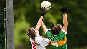 Image result for O`donovan Rossa Gfc