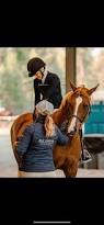 Image result for Elstead Riding Club