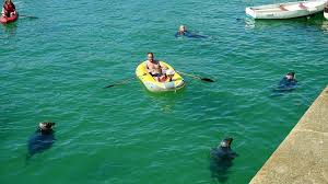 Image result for Swimming Skills Cornwall | St Ives