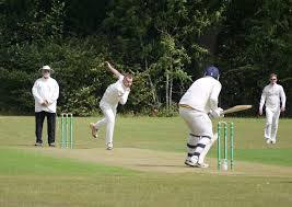 Image result for Lynchmere Cricket Club