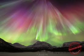 Image result for Northern