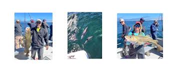 Image result for Newhaven Deep Sea Anglers