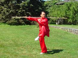 Image result for Dragon Wushu Club