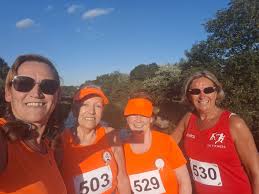 Image result for Wee County Harriers