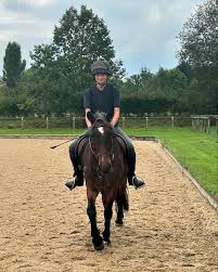 Image result for South Weylands Equestrian