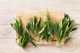 Image result for Bärlauch