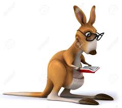 Image result for Reading Kangaroos