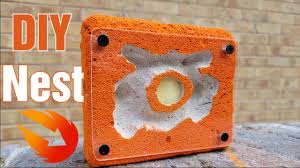 Image result for ytong ants