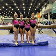Image result for Sheredes Gymnastics Club