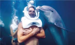 Image result for Durley Dolphin Diver