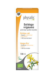 Image result for Solidago virgaurea