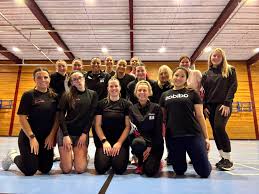 Image result for Pink Ladies Netball Club