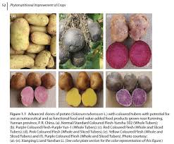 Attēlu rezultāti vaicājumam “Solanum tuberosum”