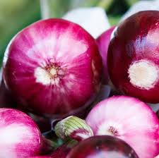 Image result for Zwiebeln