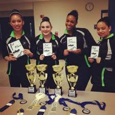 Image result for Genesis Netball Club