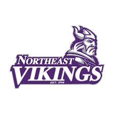 Image result for North East Vikings