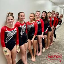 Image result for Weaverham Gymnastics Club