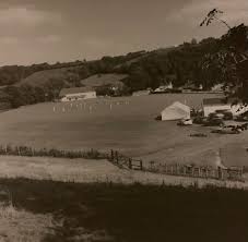 Image result for Bronwydd Cricket Club