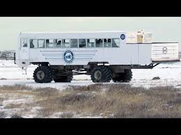 Image result for tundra buggy