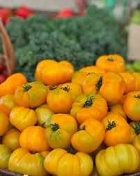 Afbeeldingsresultaat voor marmande jaune tomato