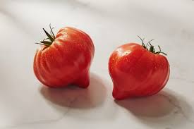 Image result for Tomate