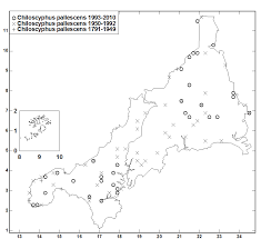 Attēlu rezultāti vaicājumam “Chiloscyphus pallescens”