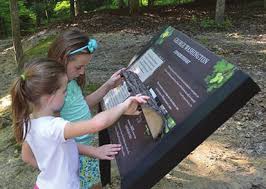 Image result for Denbeath Bowling Club