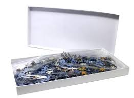 Image result for Gymnura natalensis