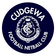 Image result for Newdigate Netball Club