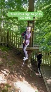 Image result for Go Ape! Grizedale