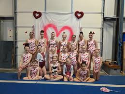 Image result for Elite Recreational Gymnastics Club