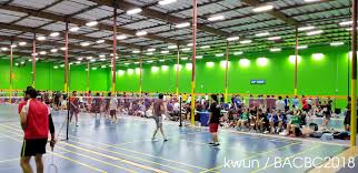 Image result for Delco Electronics Senior Badminton Club