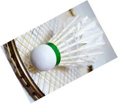 Image result for St Mary's Badminton Club - Peterborough