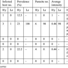 Attēlu rezultāti vaicājumam “Hydrachna”