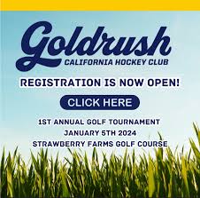 Image result for Irvine Flyers Club