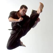 Image result for Freedom Martial Arts