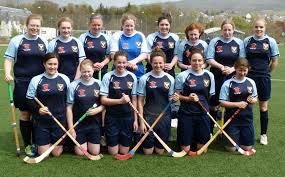 Image result for World of Shinty