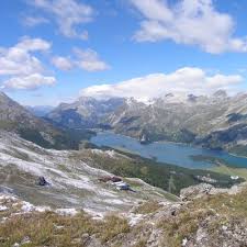 Attēlu rezultāti vaicājumam “Chara tomentosa”