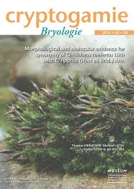 Attēlu rezultāti vaicājumam “Cinclidotus danubicus”