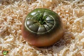 Afbeeldingsresultaat voor black elephant tomato