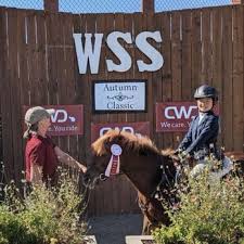 Image result for Porlock Vale Riding School