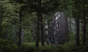 Image result for mars trees