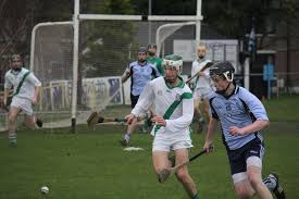 Image result for hurling
