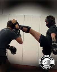 Image result for Bushido Academy Of Martial Arts (Bama)