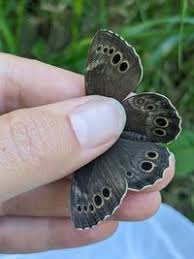 Attēlu rezultāti vaicājumam “Lopinga achine”