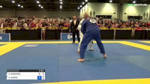 Image result for Guerrero Martial Arts