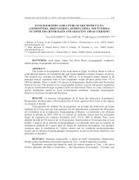 Attēlu rezultāti vaicājumam “Lacanobia contigua imago”